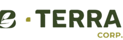 Logo Terra